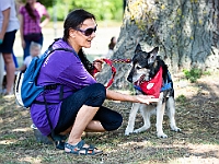 Adoptuj Warszawiaka  Wydarzenie promujące adopcję zwierząt. Organizator: Schronisko dla Bezdomnych Zwierząt "Na Paluchu". 18 sierpnia 2019, Park Raszyński w Raszynie. : park raszyński, adoptuj warszawiaka, na paluchu, schronisko dla zwierząt, centrum warszawy, raszyn